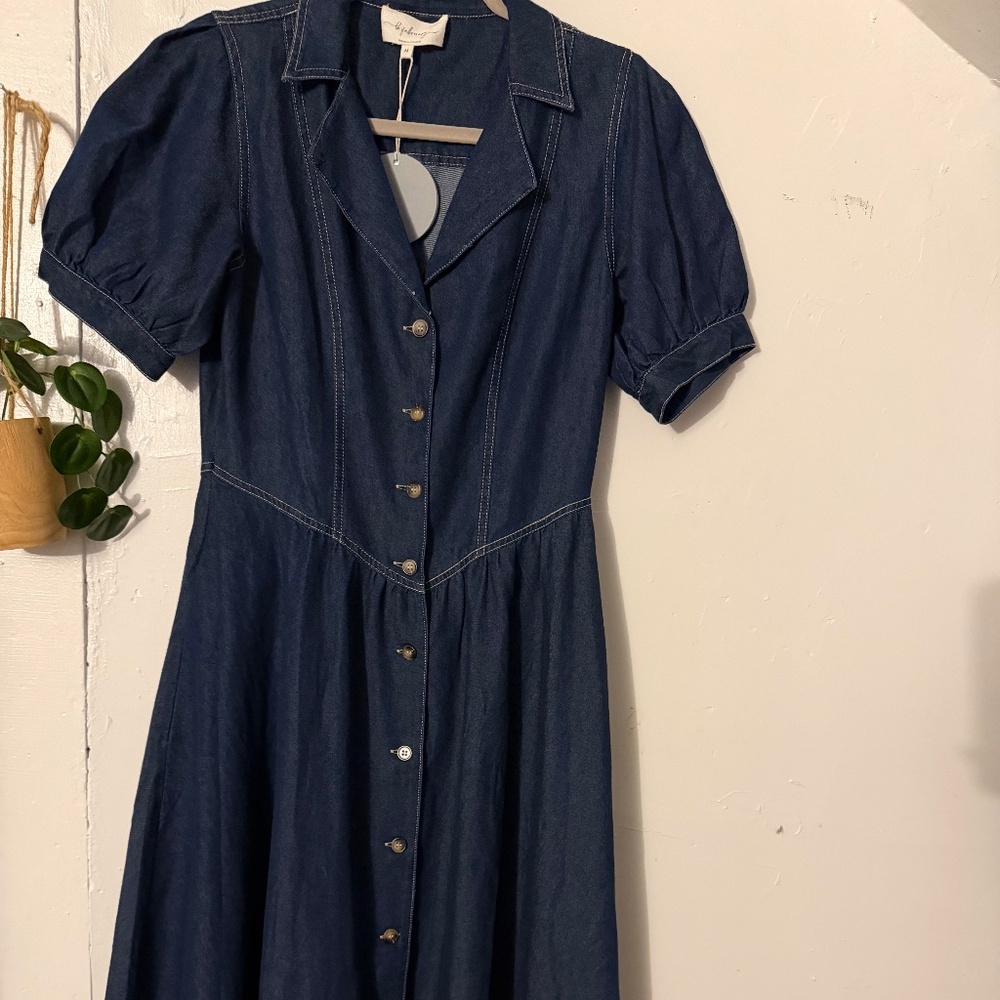 Denim maxi dress